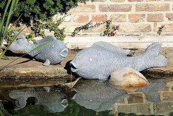 Beelden: Koi - Otter - Kikker - waterdieren - weekdieren beschikbaar voor biedingen