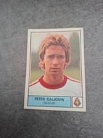 Panini sticker Voetbal 78. Speler Peter Caljouw Telstar., Verzenden, Zo goed als nieuw, Sticker