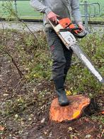 Pfanner Zaagbroeken (lees beschrijving), Tuin en Terras, Werkkleding, Ophalen of Verzenden, Zo goed als nieuw, Broek