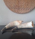 Koe hoorns 2 stuks, Ophalen