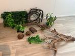 Terrarium decoratie planten en hout, Dieren en Toebehoren, Reptielen en Amfibieën | Toebehoren, Ophalen, Zo goed als nieuw, Tak, Plant, Rots of Steen