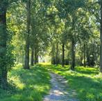 Tuinman/hovenier/tuinhulp gezocht aangeboden, Vacatures