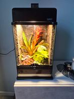Exo terra terrarium, Dieren en Toebehoren, Ophalen of Verzenden