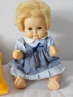 Schildpadpop, Ophalen of Verzenden, Gebruikt, Pop