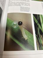 Vlinders - Zo kunnen we ze redden, Ophalen of Verzenden, Zo goed als nieuw, Natuur algemeen