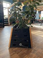 Plantenbak van turnkast, Tuin en Terras, Ophalen, Gebruikt, Kunststof