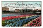 Hillegom, Hyacintenvelden, Verzenden, Voor 1920, Gelopen, Zuid-Holland