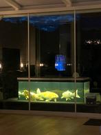 Aquarium aangeboden, Tuin en Terras, Vijvers, Ophalen, Gebruikt