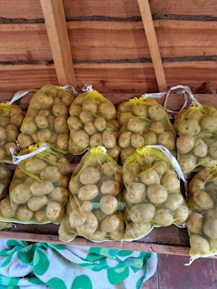 onbespoten parel en alouette aardappelen te koop. 7, Diversen, Levensmiddelen, Ophalen