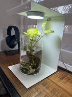 DOOA Magnet Light Stand 20L + 20H, Ophalen, Zo goed als nieuw, Overige typen