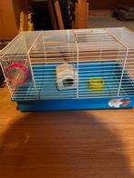 Russische Dwerghamster …housing, Dieren en Toebehoren, Minder dan 60 cm, Minder dan 75 cm, Ophalen of Verzenden, Zo goed als nieuw