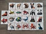 keramische dieren tegeltjes 10x10cm, Ophalen of Verzenden, Nieuw