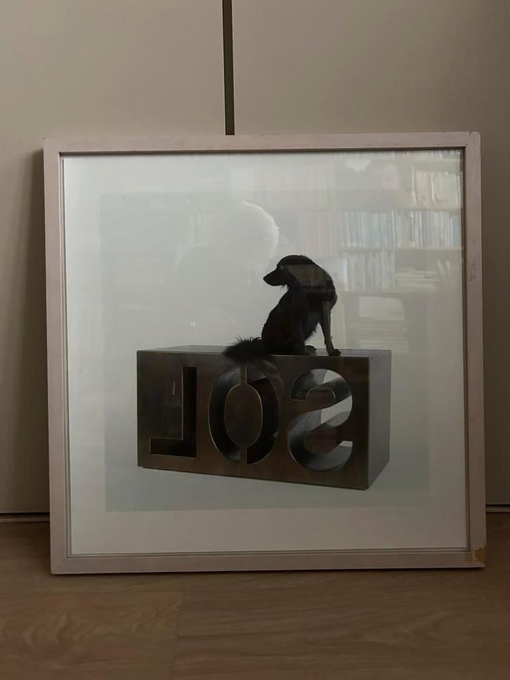 Marc Ruygrok - Sol Bob, ingelijst, Antiek en Kunst, Kunst | Tekeningen en Foto's, Ophalen of Verzenden