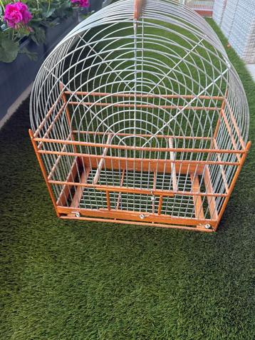 Te koop Surinaamse vogelkooi beschikbaar voor biedingen
