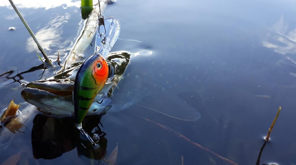 Kunstaas Crankbait FireTiger 9,5 cm snoek pluggen roofvis, Watersport en Boten, Hengelsport | Roofvissen, Nieuw, Overige typen