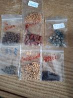 Surinaamse groente zaden 1,00 euro per zakje., Tuin en Terras, Bloembollen en Zaden, Ophalen of Verzenden, Volle zon