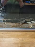 -	Kachel faber elektrisch sp4, Ophalen of Verzenden, 'T Olde Gre-j, Info@toldegrej.nl, Endepoelstraat 20f Didam