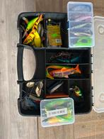 Visspullen - Complete set met koffer, Ophalen of Verzenden, Gebruikt, Complete set