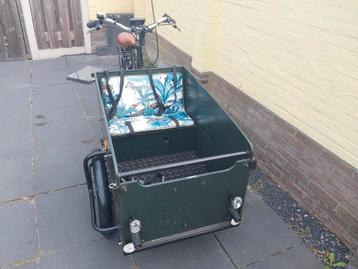 Goed werkende Elektrische bakfiets beschikbaar voor biedingen