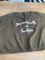 Nieuwe mooie trui Carla Giannini mt l, Kleding | Dames, Maat 38/40 (M), Carla Giannini, Nieuw, Ophalen of Verzenden