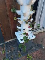 Hydroponics grow tower (nieuw in doos), Ophalen of Verzenden, Nieuw