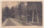 Putten Boschweg Oude gelopen ansichtkaart (B1368), Verzenden, 1940 tot 1960, Gelopen, Gelderland