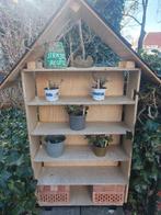Stekjes Route planten en zaden aanbod., Tuin en Terras, Vaste plant, Halfschaduw, Zomer, Ophalen