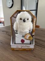 Harry Potter Hedwig Uil - Nieuw in doos, Ophalen of Verzenden, Nieuw, Overige typen