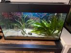 Juwel rio 125, Dieren en Toebehoren, Vissen | Aquaria en Toebehoren, Ophalen, Zo goed als nieuw, Leeg aquarium