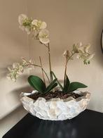 Schelpen vaas met bloemstuk - Eyecatcher!, Ophalen of Verzenden, Zo goed als nieuw, Overige materialen