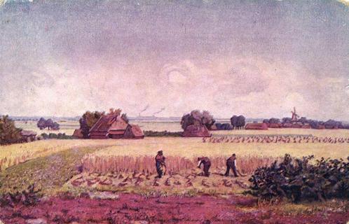Een esch in Drente - reproductie wandplaat - ongelopen, Verzamelen, Ansichtkaarten | Nederland, Ongelopen, Noord-Holland, 1920 tot 1940