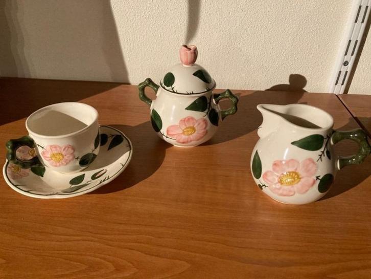 Villeroy & Boch Wild Rose koffie set, Huis en Inrichting, Keuken | Servies, Nieuw, Overige typen, Overige stijlen, Porselein, Ophalen of Verzenden