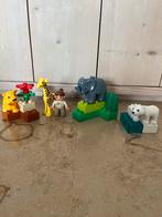 Duplo ville baby dierentuin 4962, Ophalen of Verzenden, Zo goed als nieuw, Complete set, Duplo