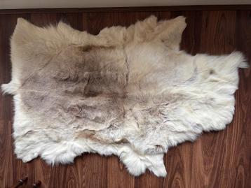 Rendierhuid; lengte 130 cm, breedte 85 cm. beschikbaar voor biedingen