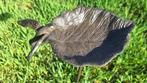 tuinsteker vogelbadje / voederplaats gietijzer, Tuin en Terras, Vogelhuisjes en Vogelbaden, Verzenden, Nieuw