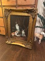 Oud katten paneel, Ophalen of Verzenden