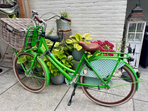 Cortina meets Lief! U4 Transportfiets / moederfiets, Fietsen en Brommers, Fietsen | Dames | Moederfietsen, Gebruikt, Overige merken