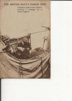 2e WO Britse Officier van de marine verzendt een postduif, Verzenden, 1940 tot 1960, Ongelopen, Engeland