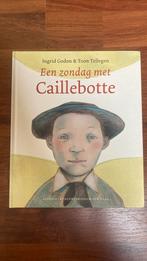Ingrid Godon - Een zondag met Caillebotte, Ophalen of Verzenden, Zo goed als nieuw, Ingrid Godon; Toon Tellegen