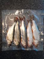 Aasvissen, Ophalen of Verzenden, Nieuw, Overige typen