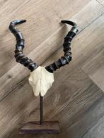 Decoratieve Impala Schedel, Ophalen of Verzenden, Zo goed als nieuw