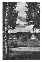 981731 Heelsum Doorwerth Gld 1962 Koninginnelaan Gelopen, Verzamelen, Ansichtkaarten | Nederland, Ophalen of Verzenden, 1960 tot 1980