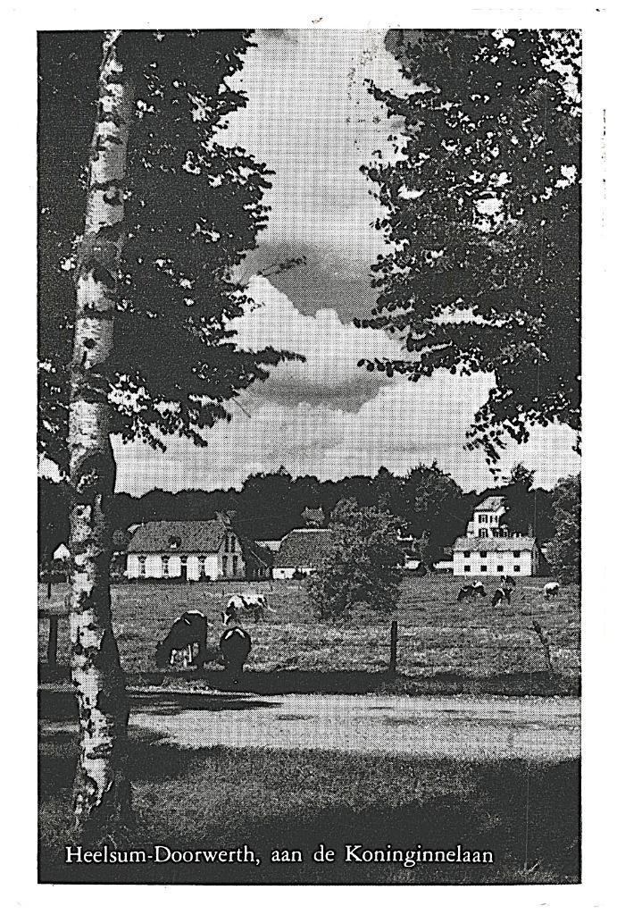 981731 Heelsum Doorwerth Gld 1962 Koninginnelaan Gelopen, Verzamelen, Ansichtkaarten | Nederland, Gelopen, Gelderland, 1960 tot 1980