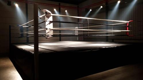 SPARTA Boksring Kickboksring Wedstrijdring 6x6 / 7.8x7.8, Sport en Fitness, Boksen, Zo goed als nieuw, Ophalen