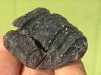 Agni Manitiet- Indische Moldaviet - Tektiet - mineralen X6, Ophalen of Verzenden, Mineraal