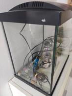 Aquaria, Dieren en Toebehoren, Vissen | Aquaria en Toebehoren, Ophalen of Verzenden, Zo goed als nieuw, Leeg aquarium