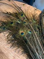 Pauwenveren van onze eigen pauw, Huis en Inrichting, Woonaccessoires | Droogbloemen, Ophalen of Verzenden, Zo goed als nieuw