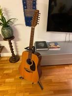 Fenix 12-snarige akoestische gitaar Model D-12M, Ophalen of Verzenden, Gebruikt, Western- of Steelstringgitaar, 12-snarig