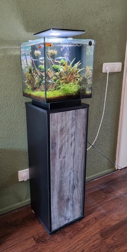 Superfish Qubiq 30 Pro Zwart met kast en toebehoren., Dieren en Toebehoren, Vissen | Aquaria en Toebehoren, Zo goed als nieuw