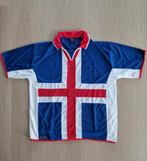 Voetbalshirt nationale elftal IJsland, Sport en Fitness, Voetbal, Maat L, Ophalen of Verzenden, Zo goed als nieuw, Shirt